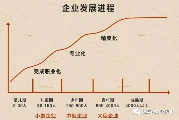 战略自信 ▏选择赛道就是选择成功的可能性